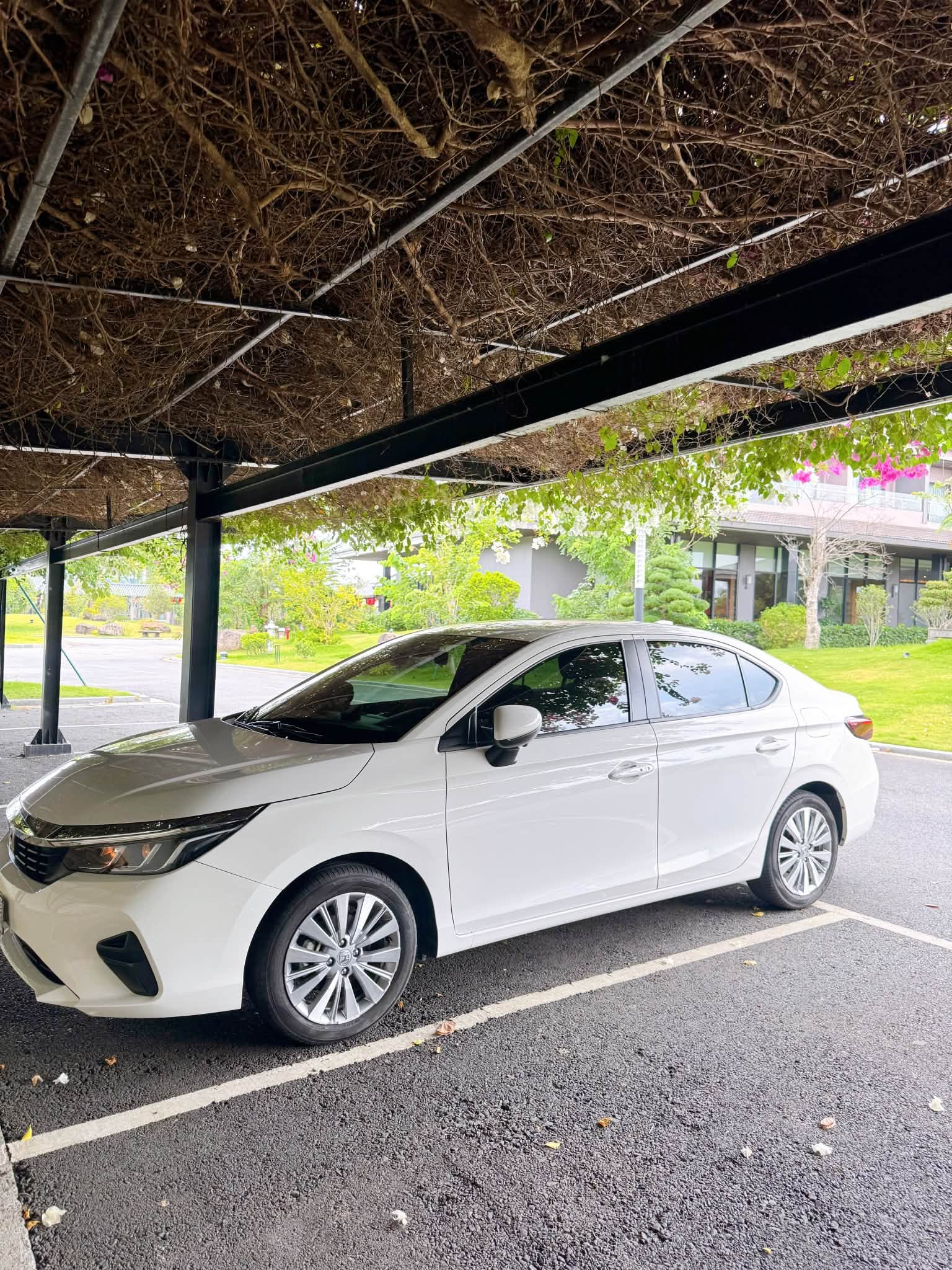Ảnh đội xe Cho Thuê Tự Lái 1