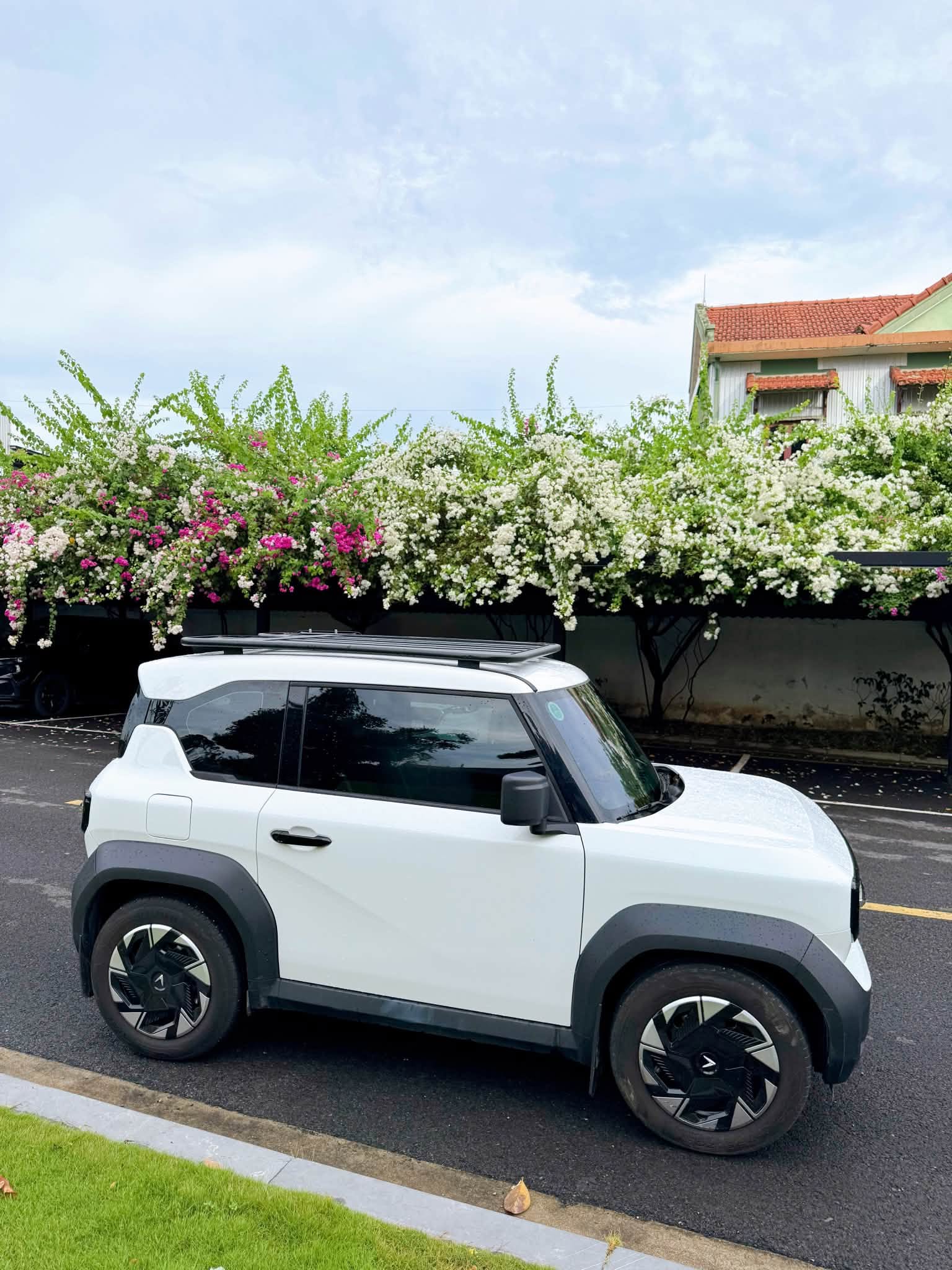 Ảnh đội xe Cho Thuê Tự Lái 3
